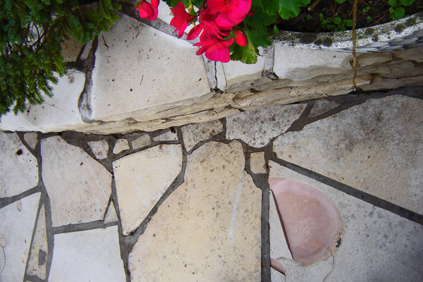 DSC06591-ausgeplatzte Stelle-600 DSC06591-ausgeplatzte Stelle-600