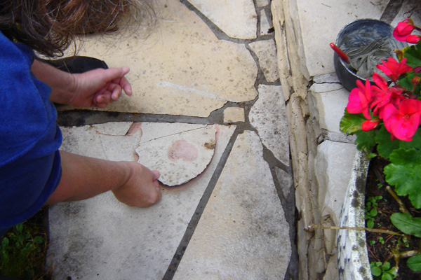 DSC06593-das ausgeplatzte Stück DSC06593-das ausgeplatzte Stück