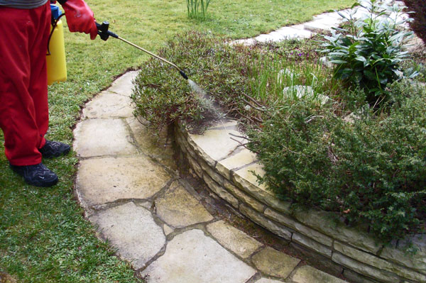 SL383417-Einsatz des Algenkillers SL383417-Einsatz des Algenkillers