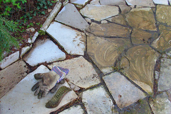 SL383459-Wurzelbürste + Handschuhe SL383459-Wurzelbürste + Handschuhe