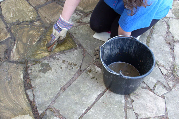 SL383464-Bürsten (Nahaufnahme) SL383464-Bürsten (Nahaufnahme)