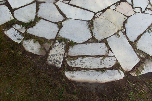 SL383495-schwarze Flecken-1 SL383495-schwarze Flecken-1