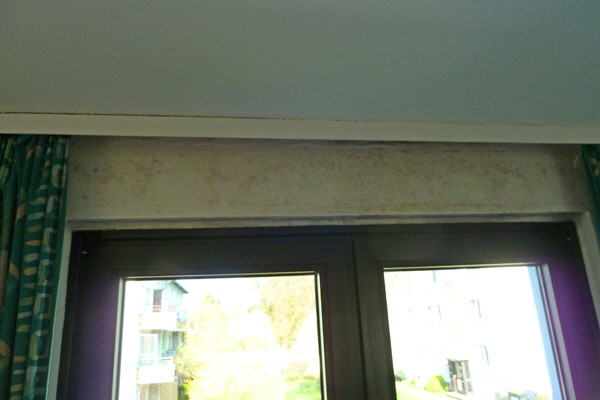 P1040223-Schimmel über dem Fenster-600 P1040223-Schimmel über dem Fenster-600