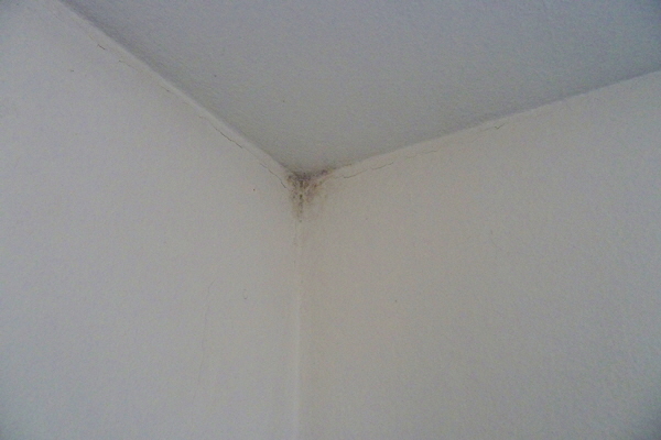 P1040226-Schimmel in Ecke voni 2 Außenwänden-oben-600 P1040226-Schimmel in Ecke voni 2 Außenwänden-oben-600