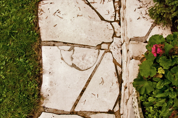 P1080674-ausgeflickt-1a-600 P1080674-ausgeflickt-1a-600